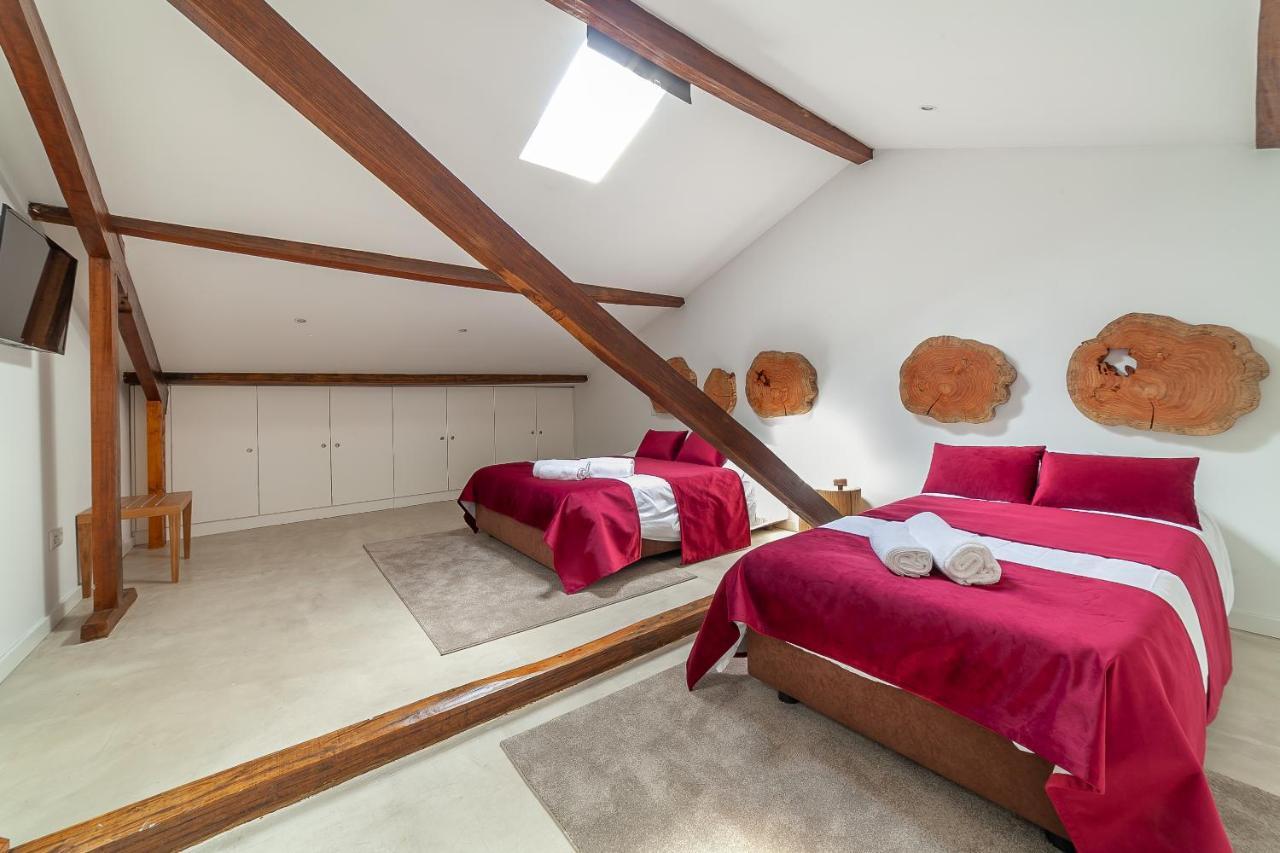 Up Tree Nature Rooms 阿威罗 外观 照片